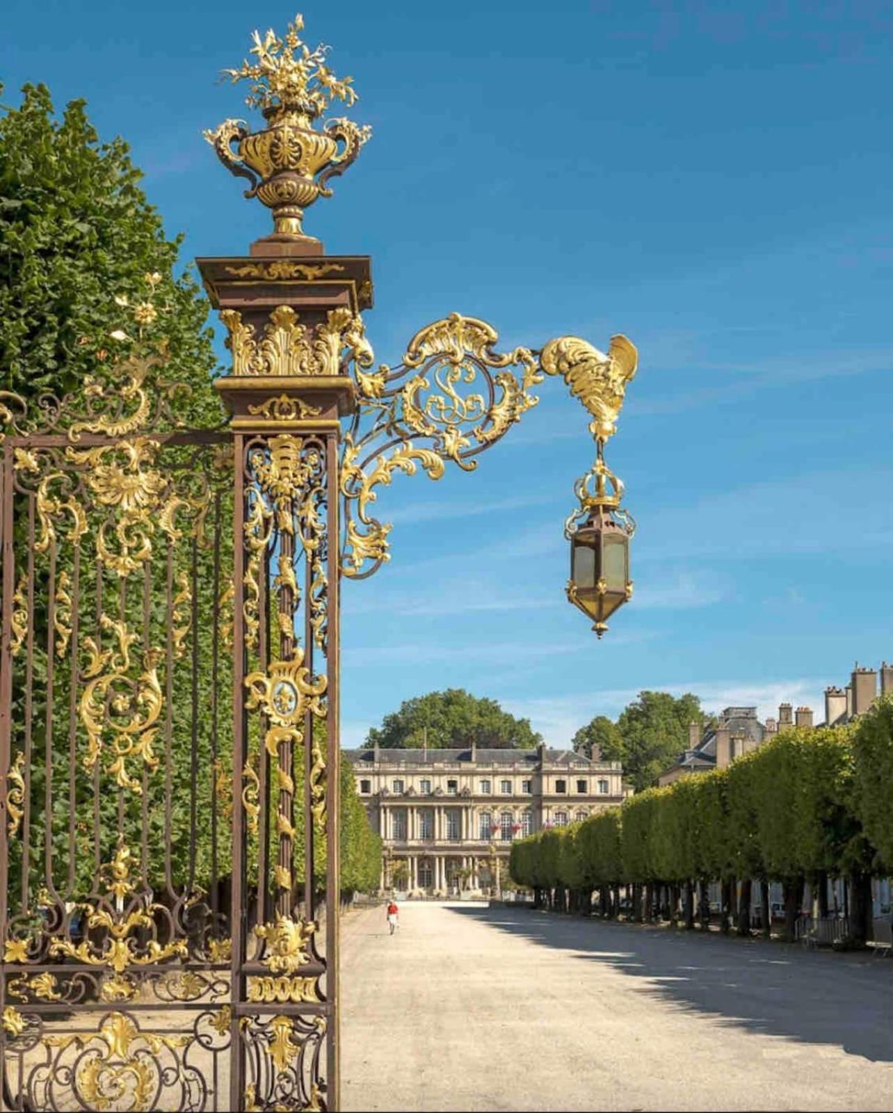 נאנסי Le Dominicains Appartement Au Calme Aux Portes De La Place Stanislas מראה חיצוני תמונה